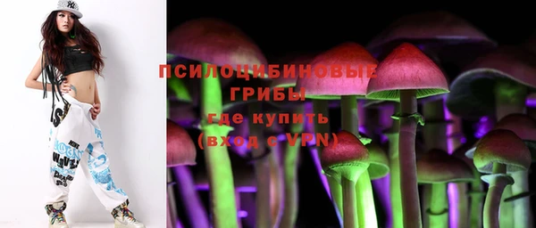 стафф Армянск
